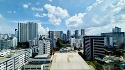 Rajah Tower (D12), Apartment #573768451